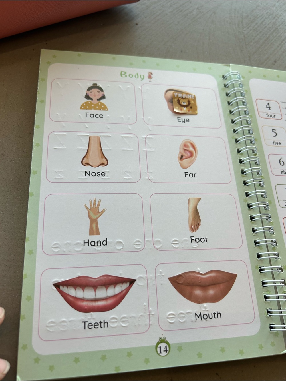 Colorful Kids Learning Activity Books - Multi-Color Set - Picture 11 of 13